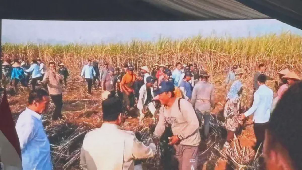 Prabowo Sapa Petani Tebu Sebelum Pimpin Panen Raya TNI di Malang