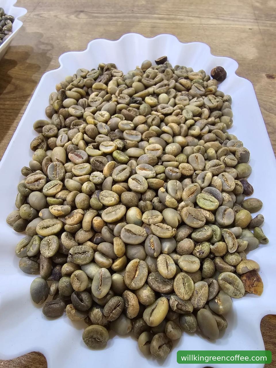 Teknologi Pasca Panen Modern yang Diadopsi Willkin Green Coffee