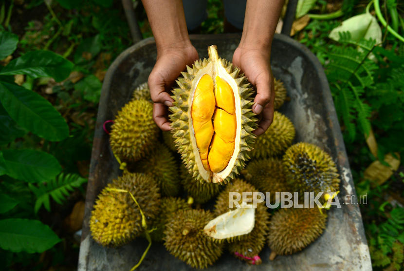 Meningkatkan Imunitas, Salah Satu Manfaat Durian