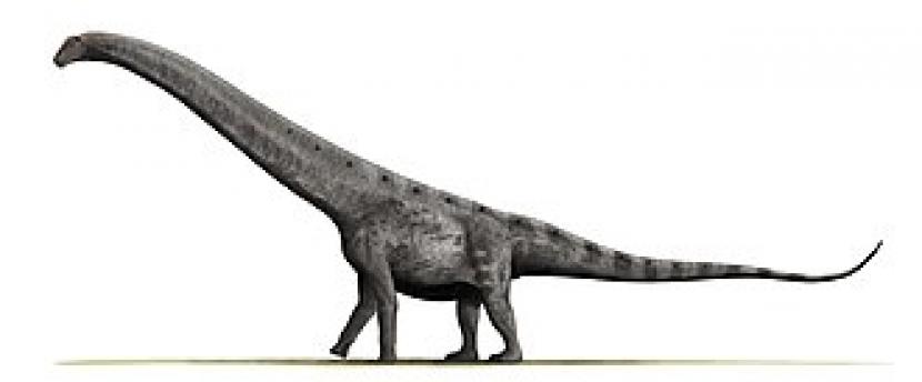 Ilmuwan Temukan Dinosaurus Terbesar yang Pernah Ada
