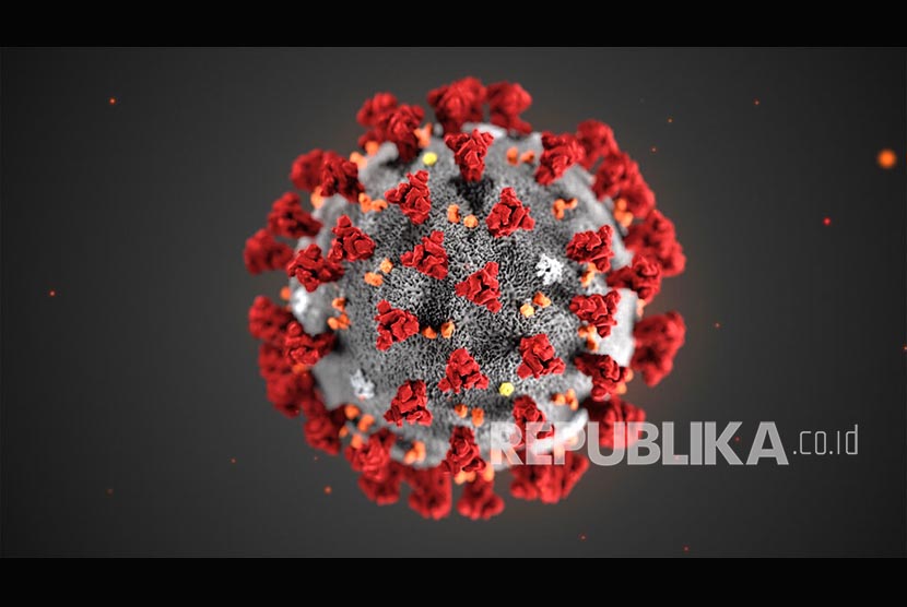 Mengapa Mutasi Bikin Virus Corona Mematikan Bagi Manusia?
