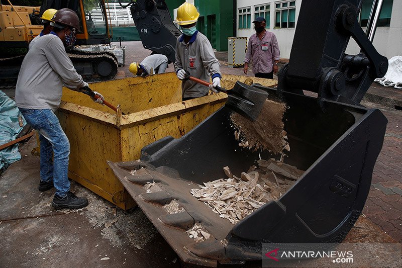 Cegah perdagangan ilegal, Singapura hancurkan 9 ton gading gajah