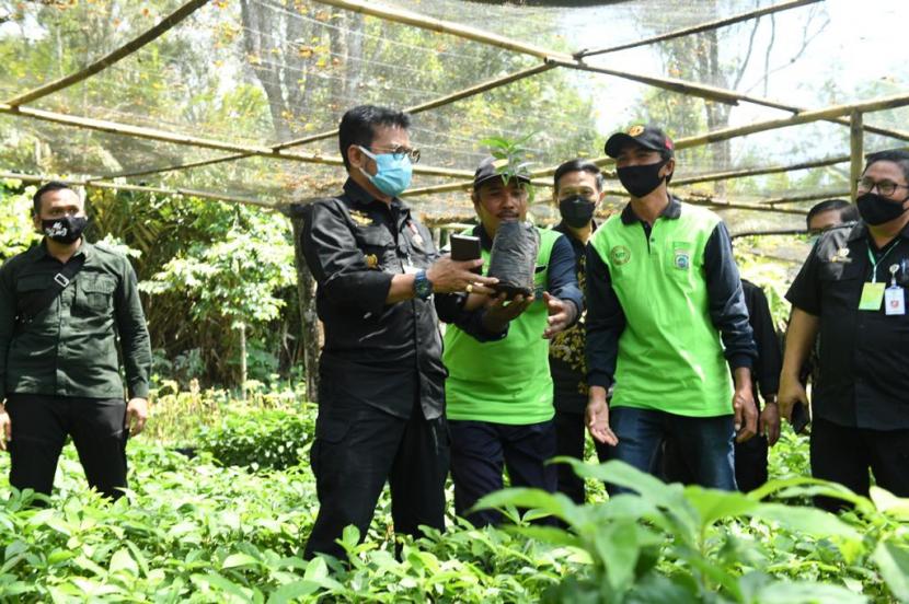 SYL Dorong Malang Jadi Produsen Bibit Unggul Alpukat