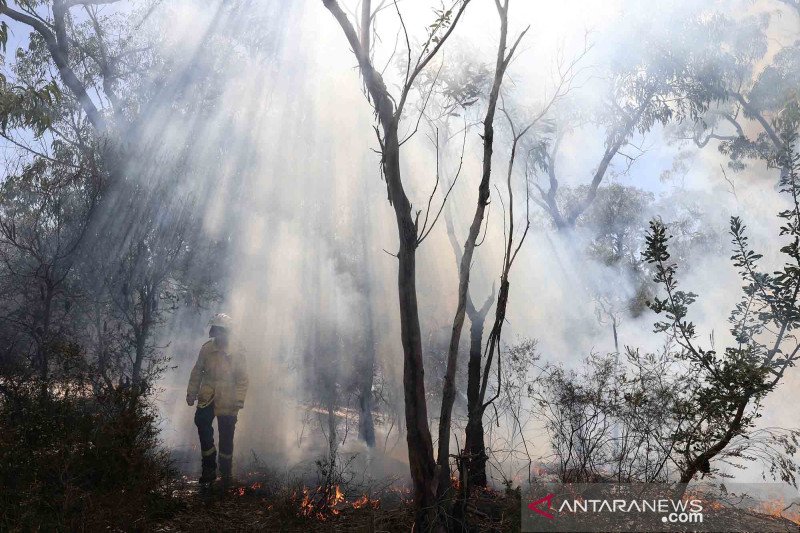 Bahaya besar kebakaran Australia saat suhu capai angka tertinggi