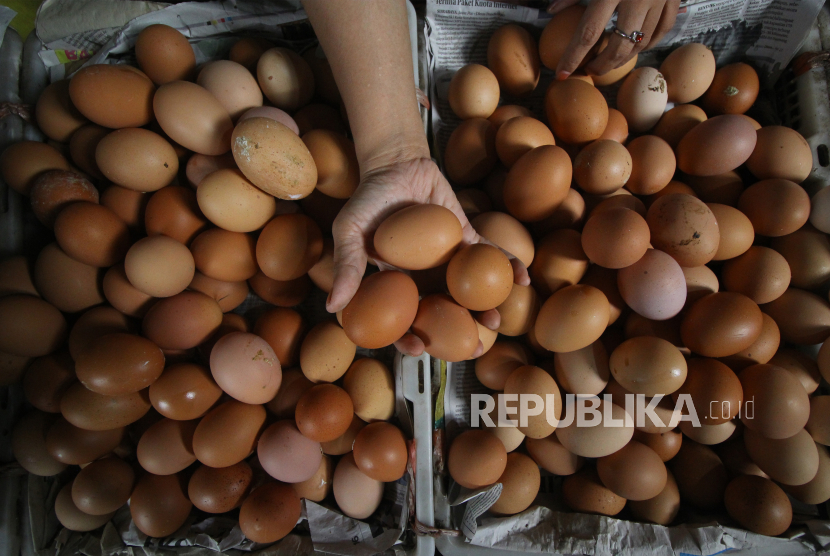 Harga Telur dan Daging Ayam Ras Mulai Melambung