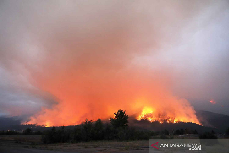 Ribuan rumah di California terancam kebakaran hutan