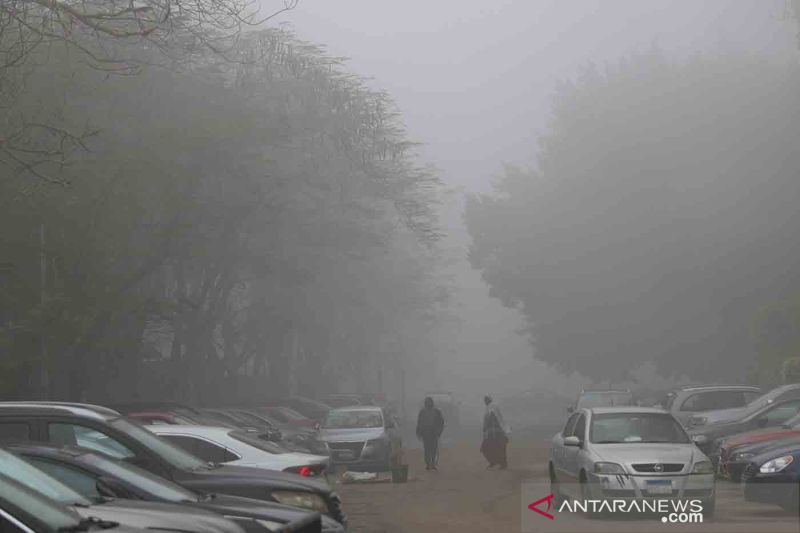 Kabut tebal menyelimuti Kairo